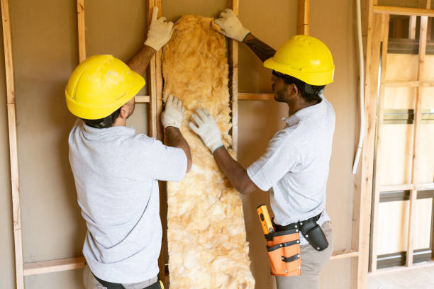 Best Insulation Contractors for Homes  in Krum, TX