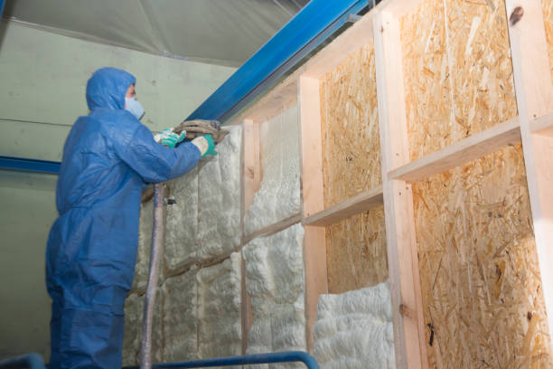 Best Cellulose Insulation  in Krum, TX
